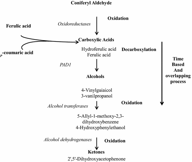 Fig. 7