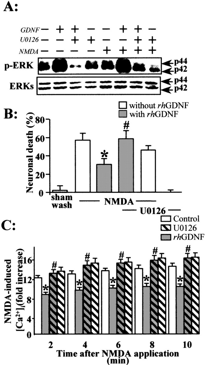 Fig. 8.