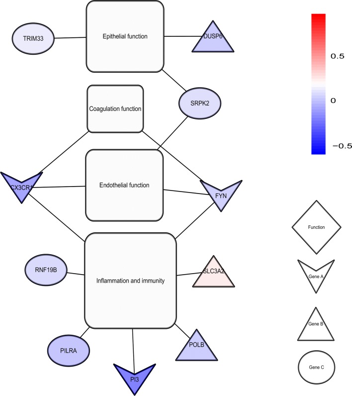 Fig. 4