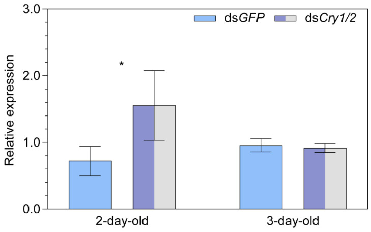 Figure 5