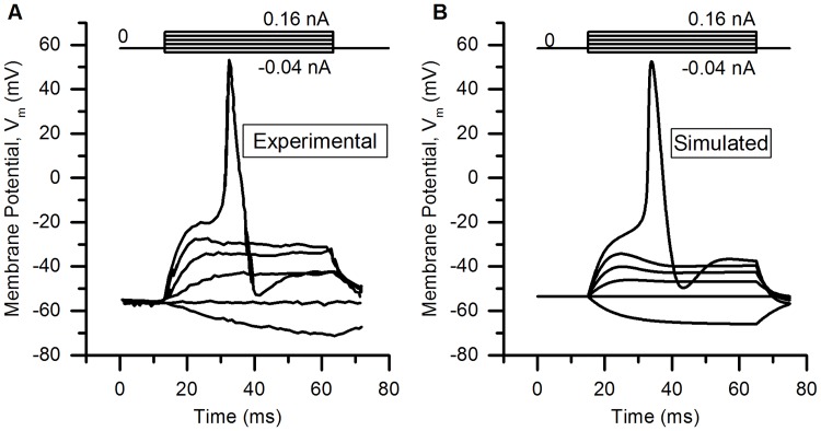 Fig 10