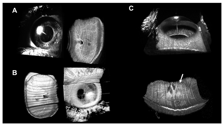 Fig. 9