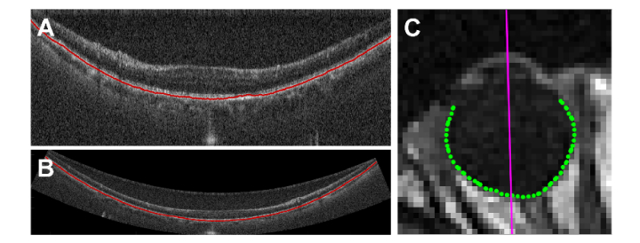 Fig. 7