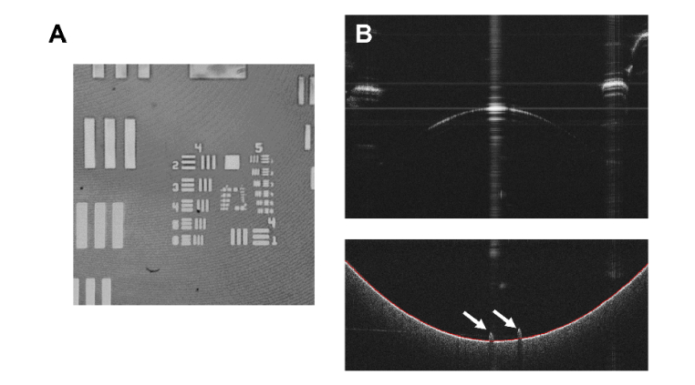 Fig. 8