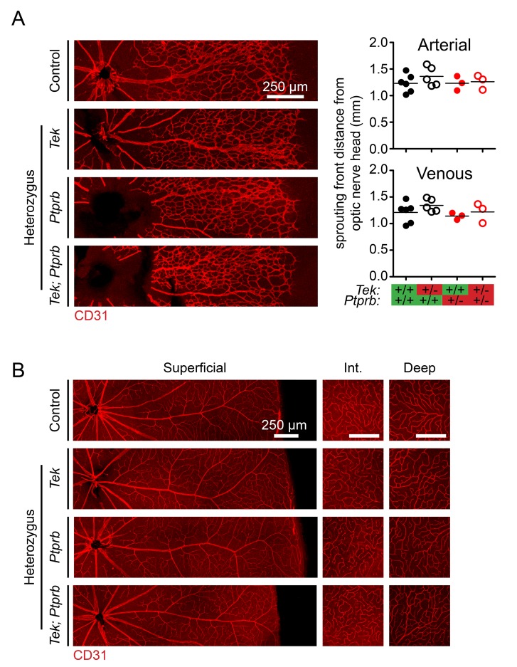 Figure 3—figure supplement 1.