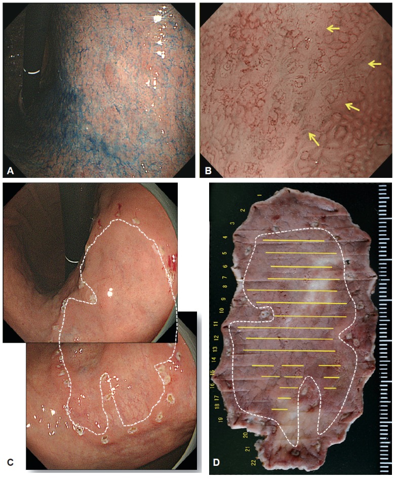 Fig. 8.