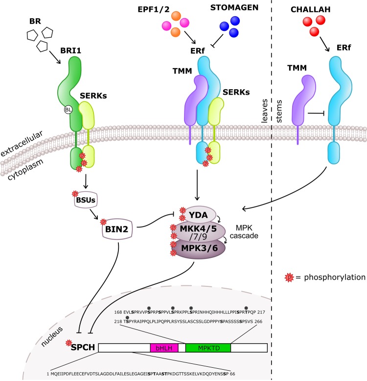 Figure 2.