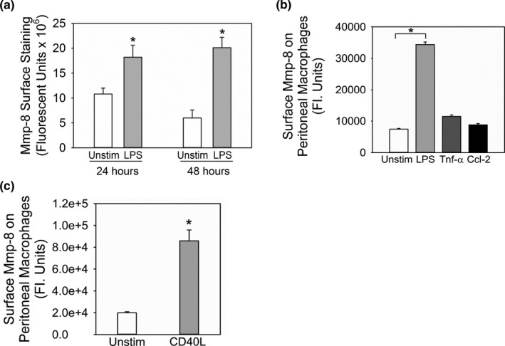 FIGURE 2