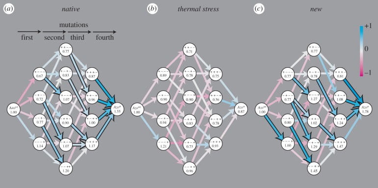 Figure 2.