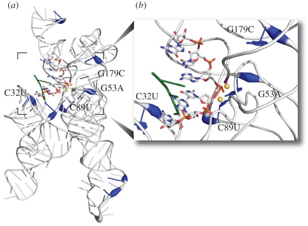 Figure 1.