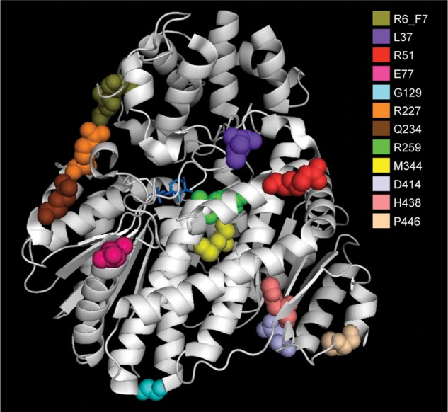 Figure 3.