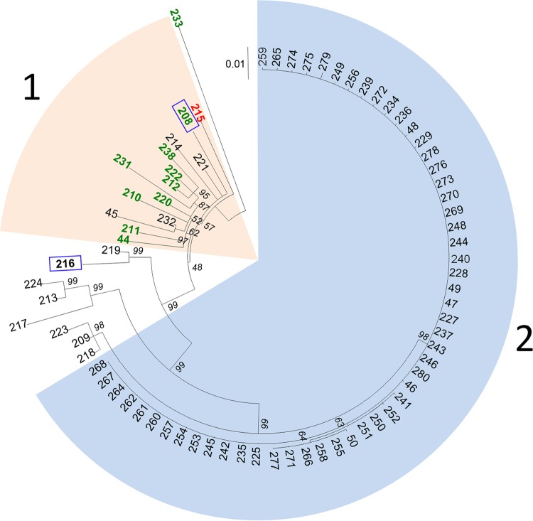 FIG 2 