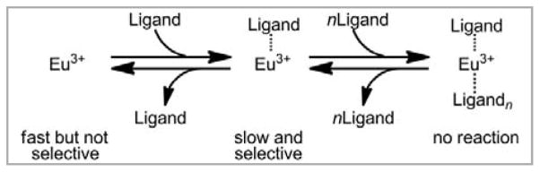 Scheme 3