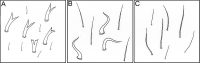 Figure 23.