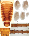 Figure 19.