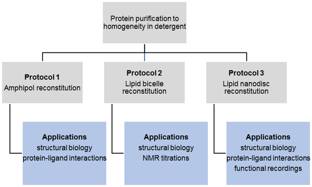 Figure 1: