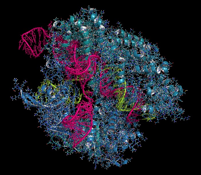 graphic file with name pnas.1503840112fig01.jpg