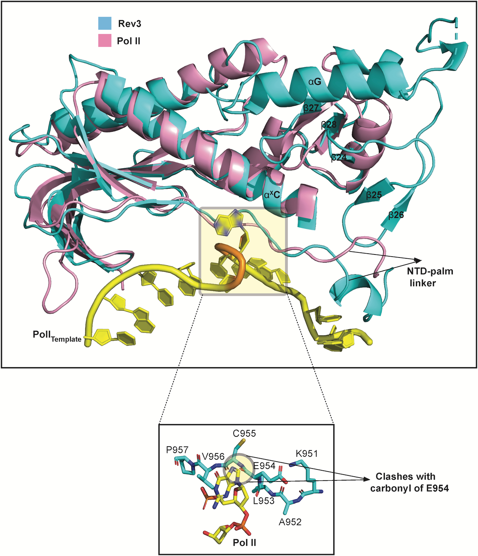 Extended Data Fig. 8