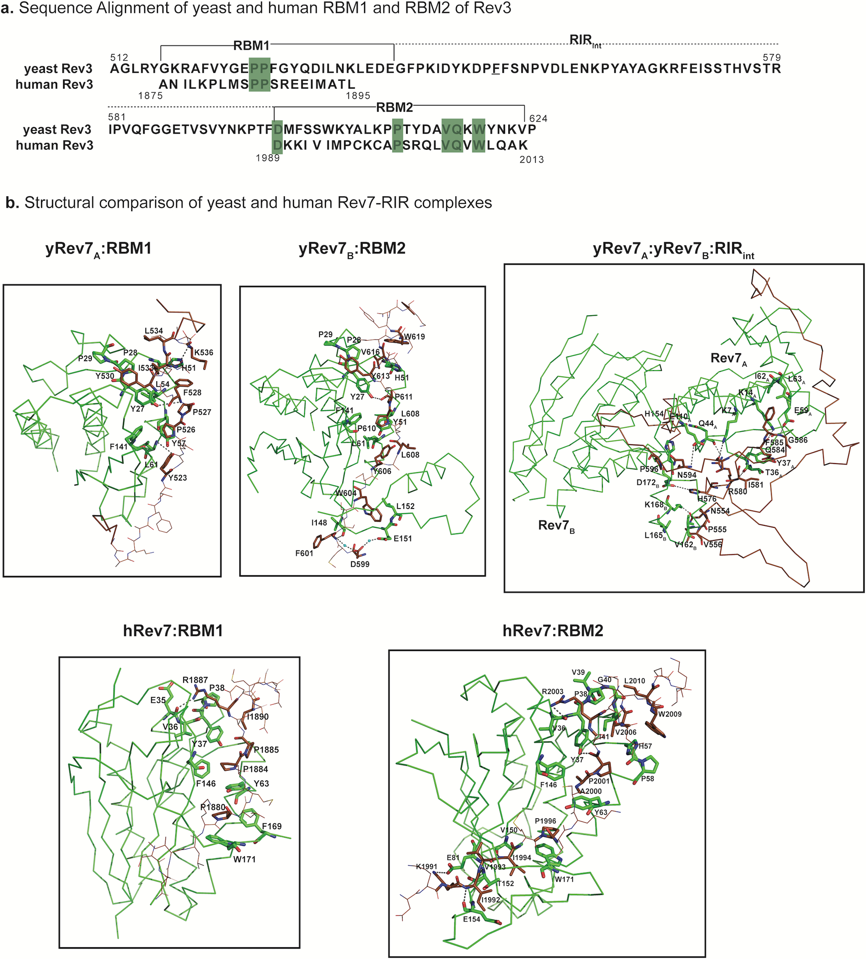 Extended Data Fig. 6