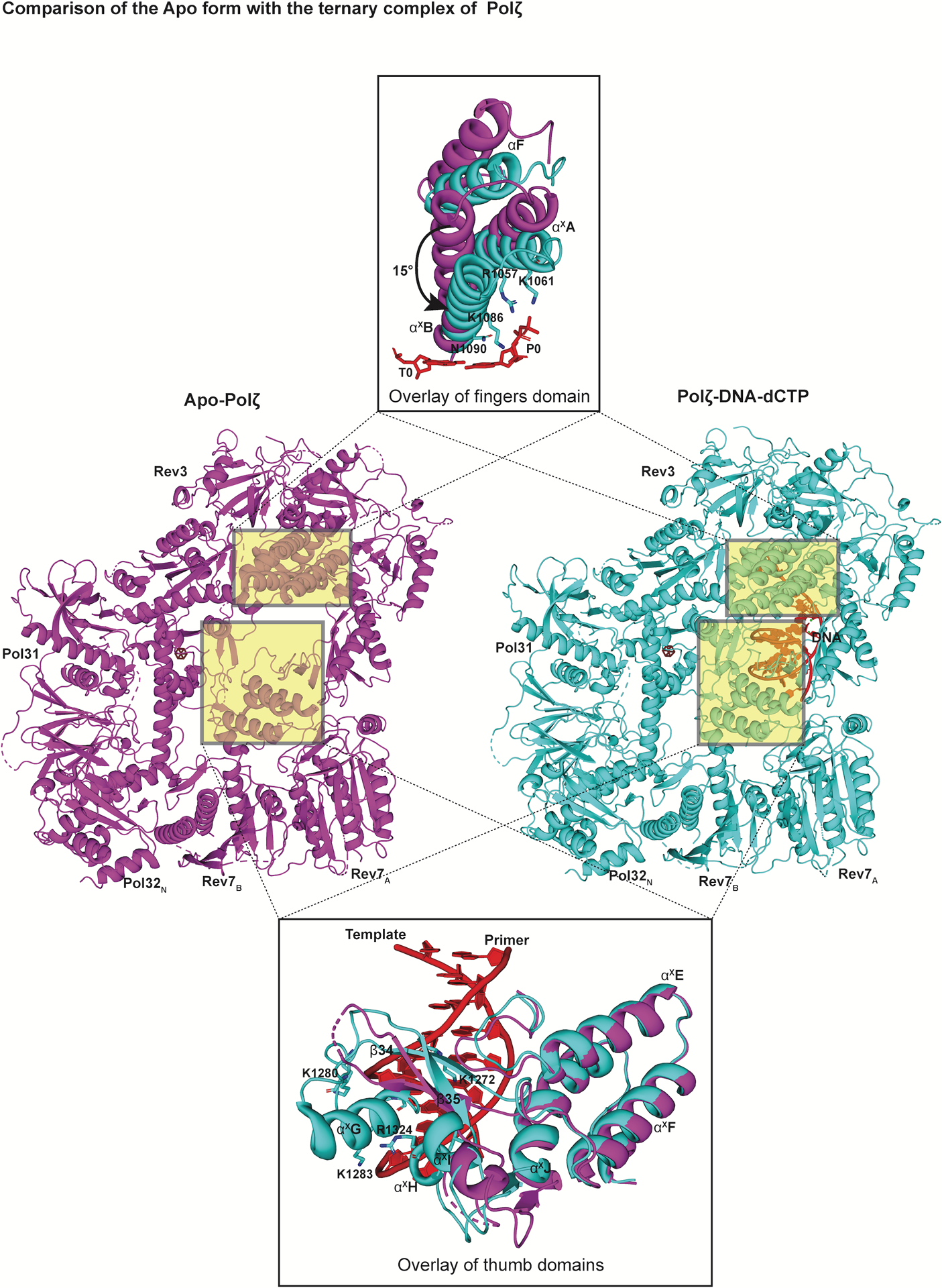 Fig. 6: