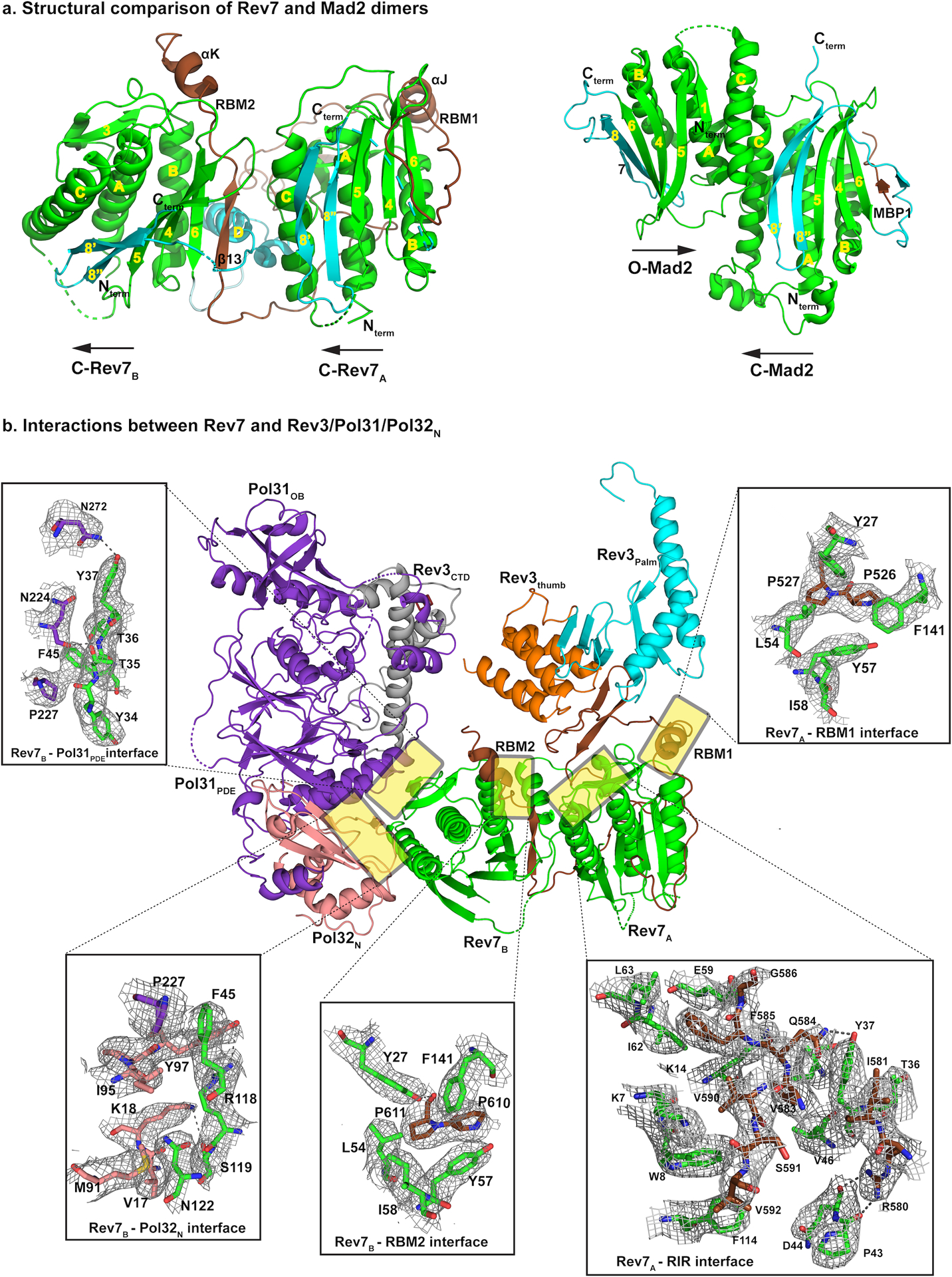 Fig. 4: