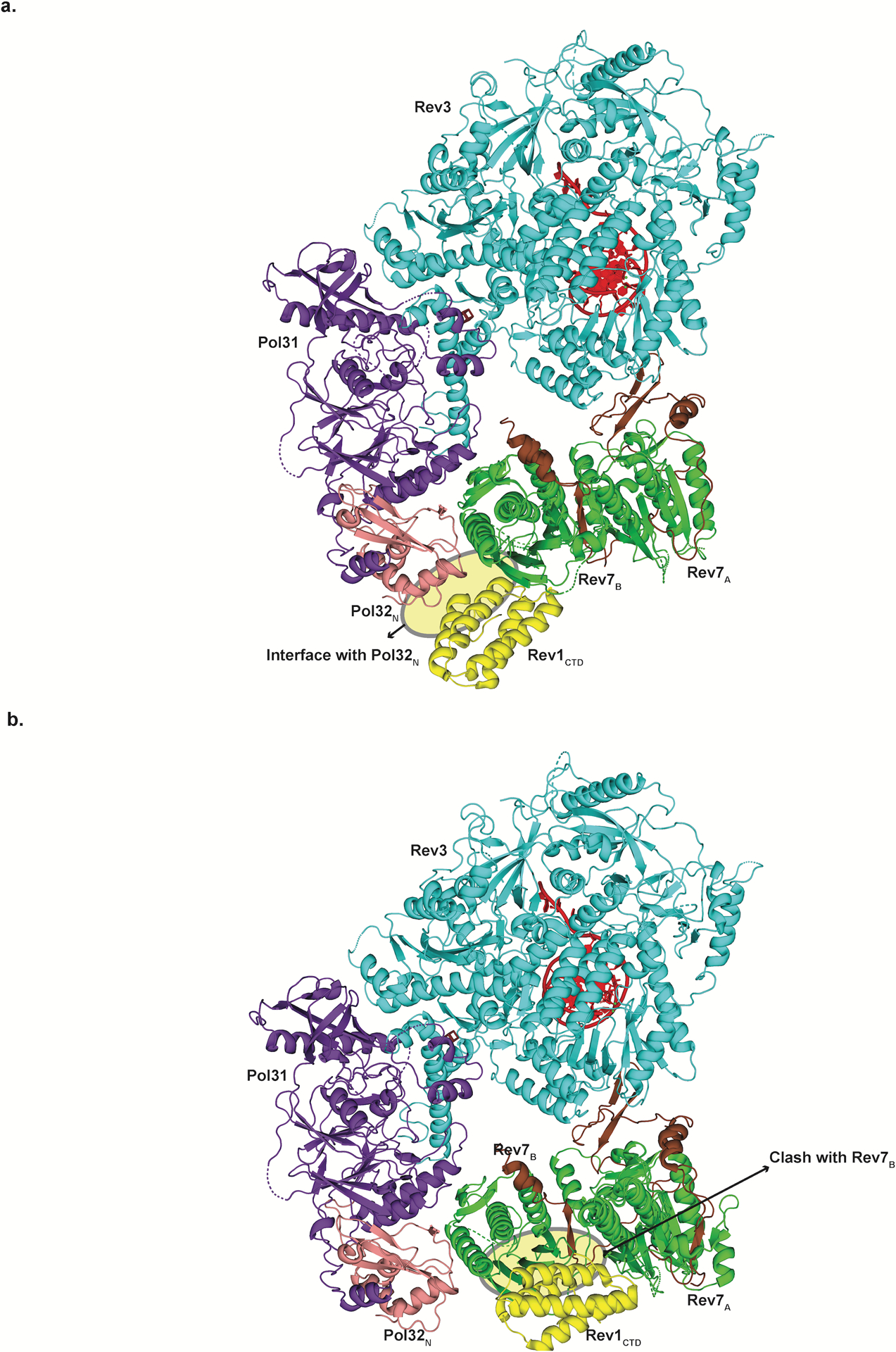 Extended Data Fig. 9