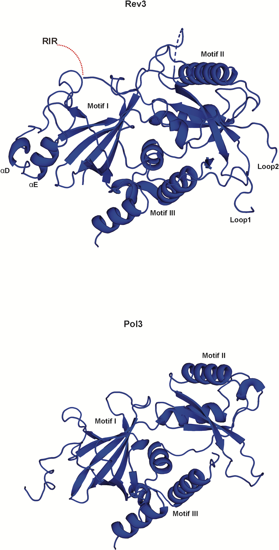 Extended Data Fig. 4