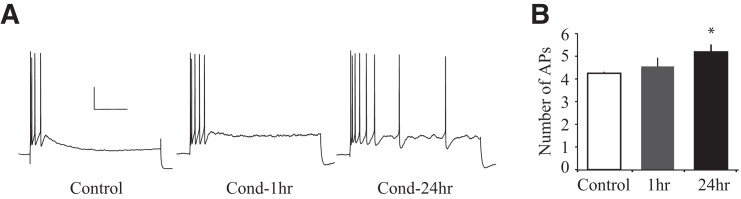 Figure 4.