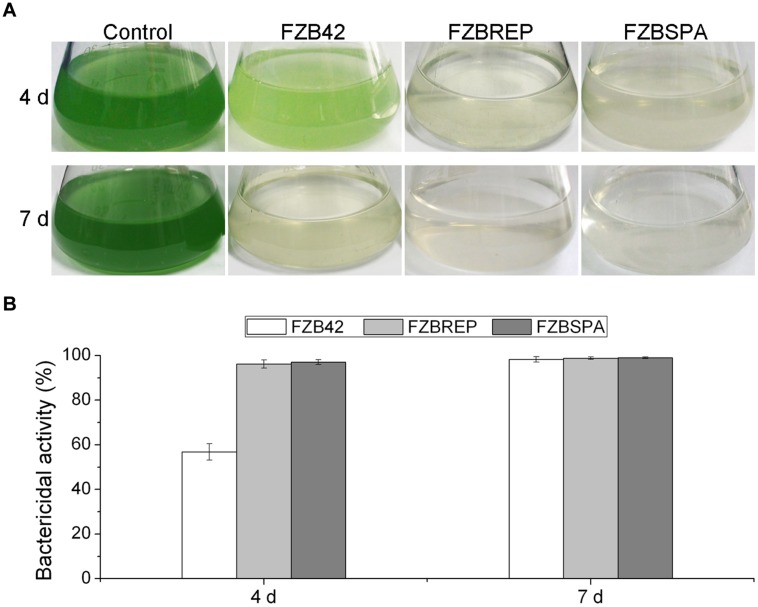 FIGURE 4