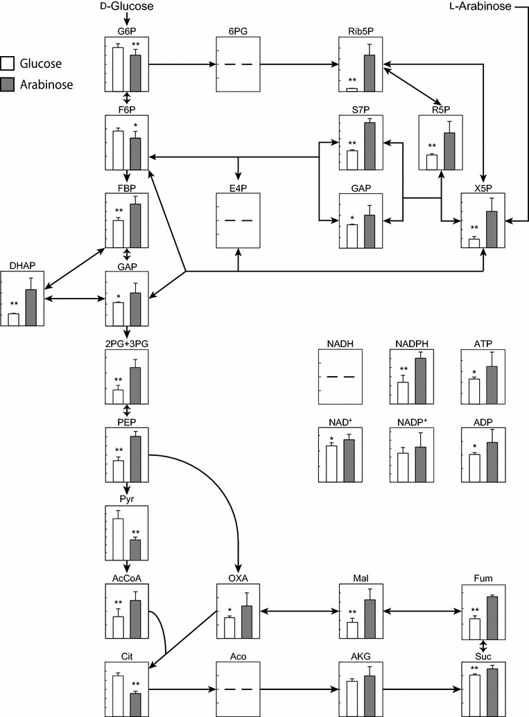 Fig. 3