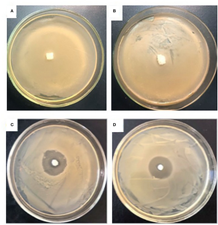 Figure 11