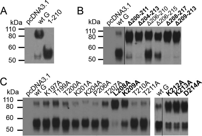 FIG 6