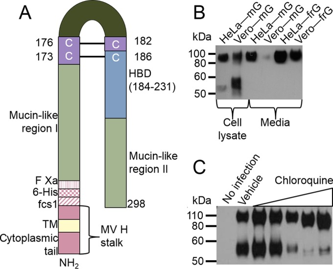 FIG 4