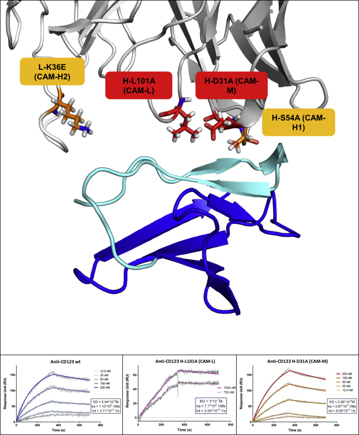 Figure 1