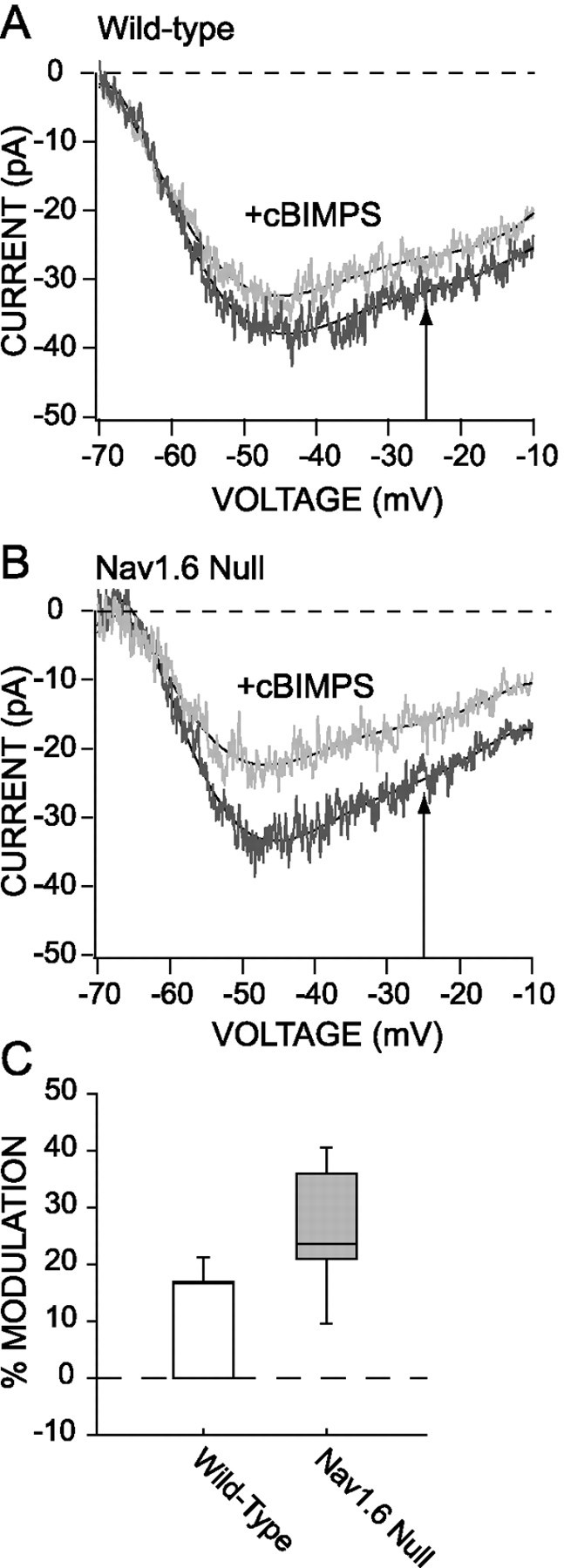 Fig. 6.