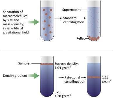 Figure 4.2