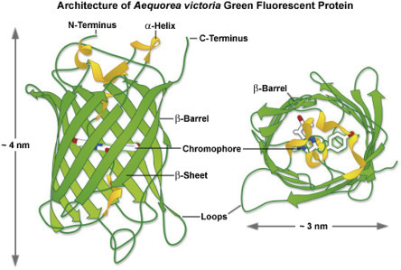 Figure 4.5