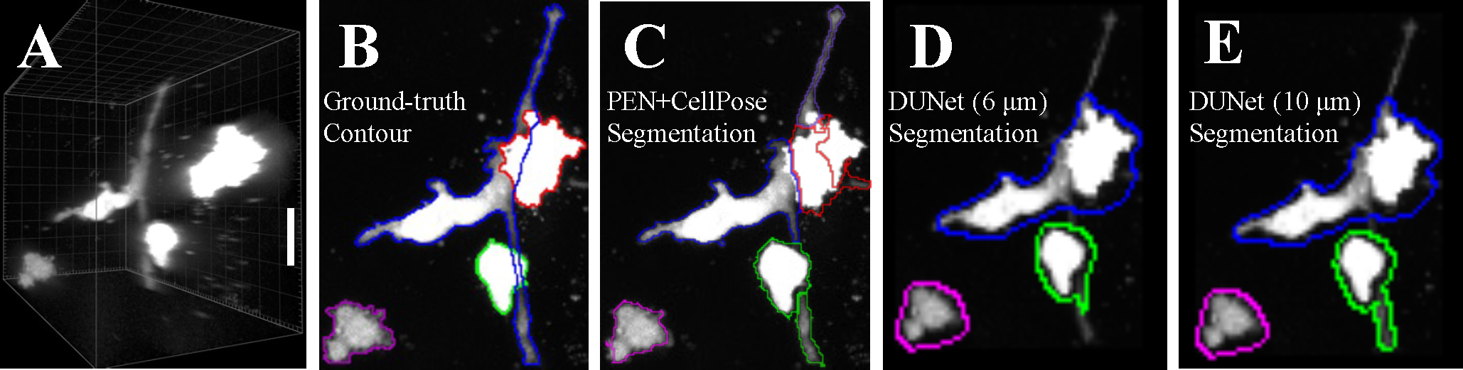 Figure 4.