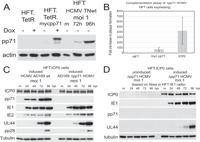 FIG 6