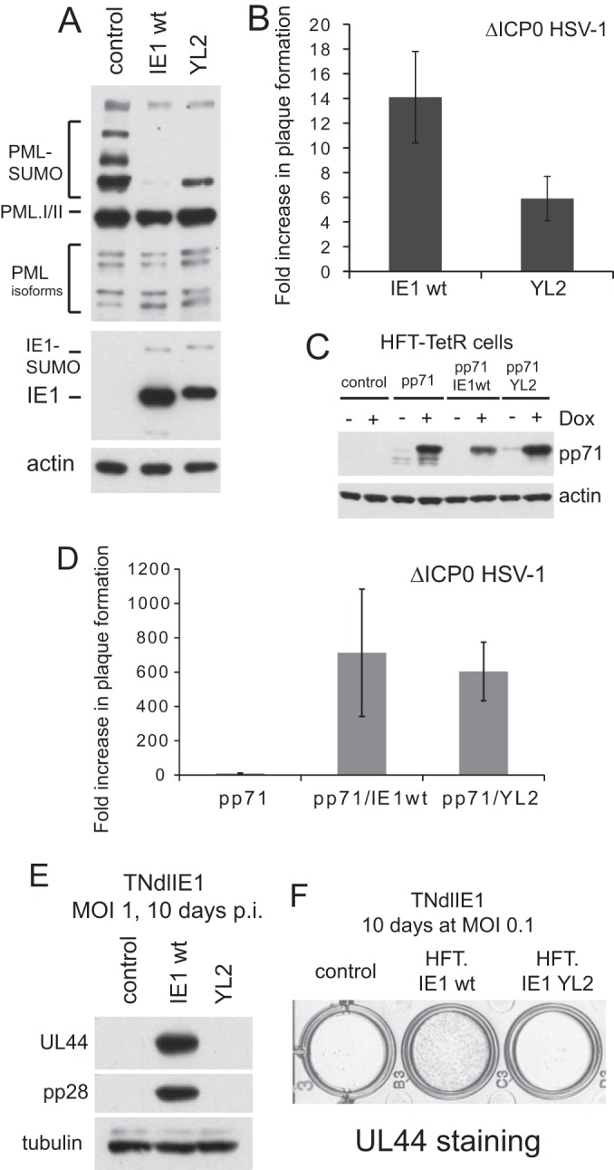 FIG 8