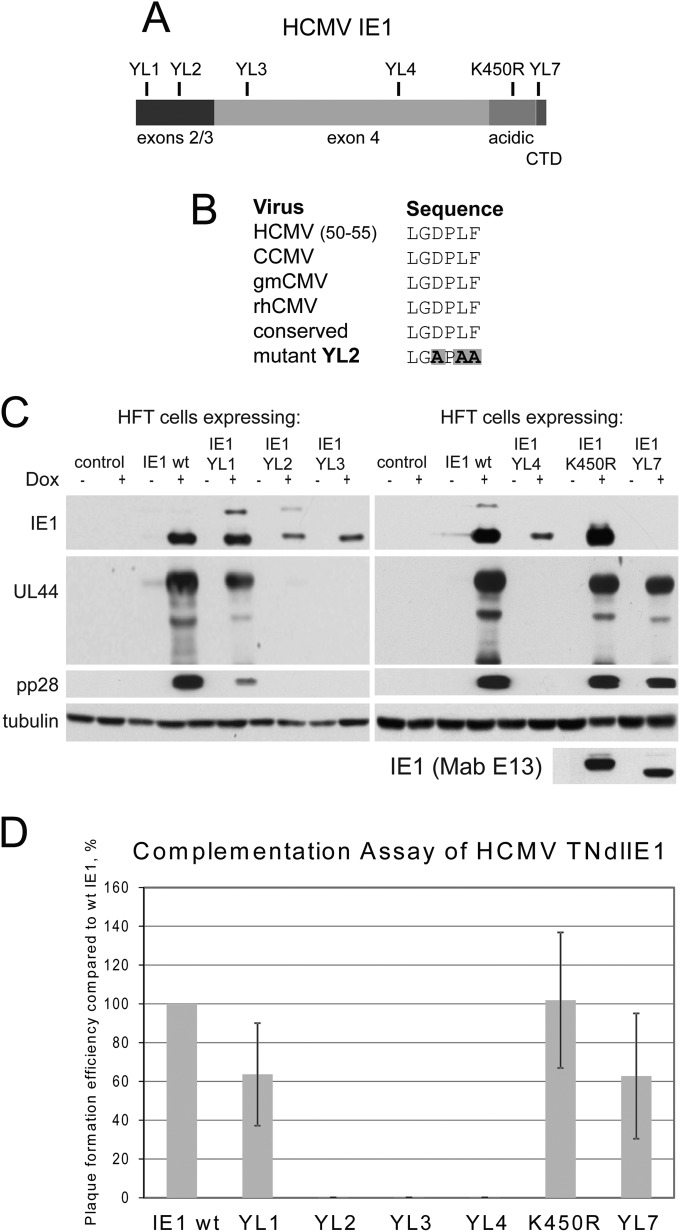 FIG 7