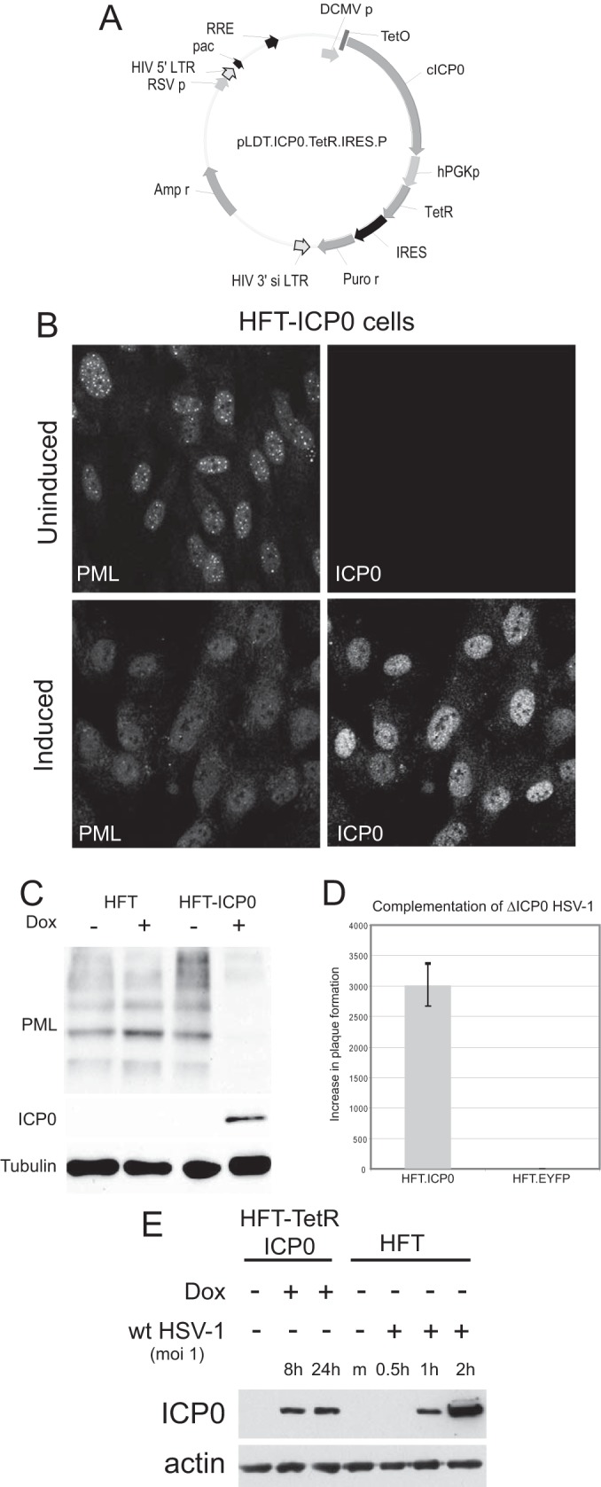 FIG 1