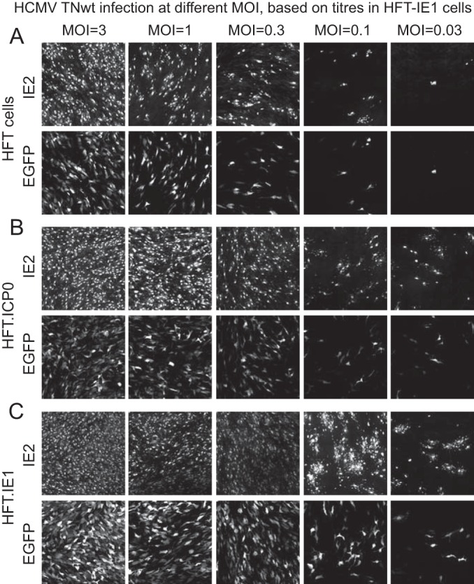 FIG 4