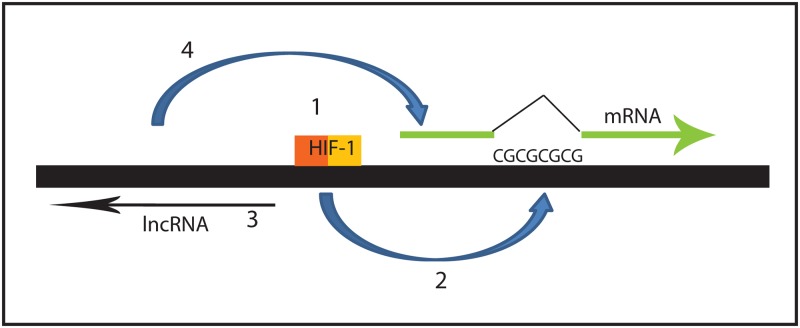 Fig 9