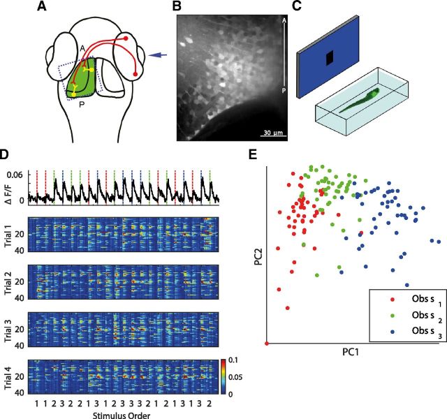 Figure 1.