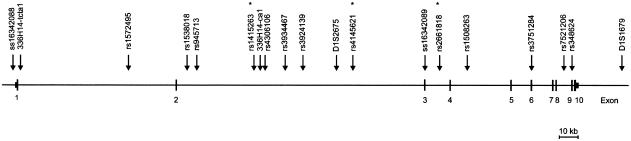 Figure  1