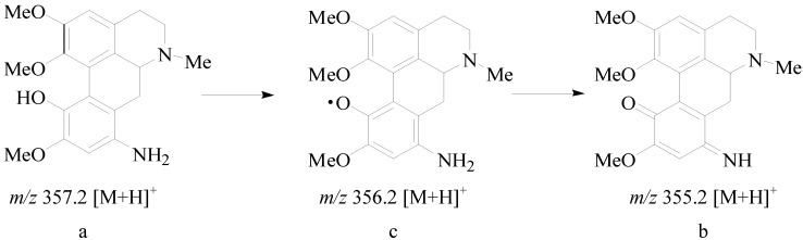 Scheme 2