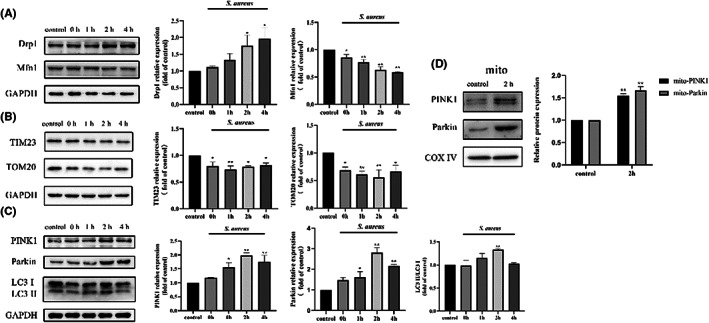 FIGURE 4