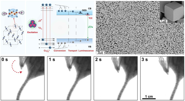 graphic file with name 41377_2023_1208_Figa_HTML.jpg