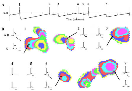 Figure 6